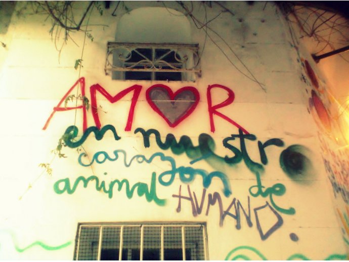 Amor en nuestro corazón de  animal humano