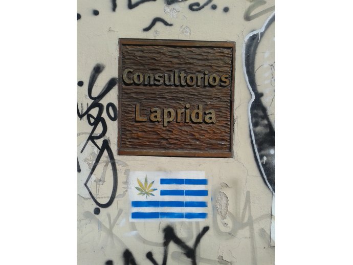 bandera uruguaya aggiornada