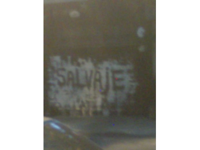 Salvaje.