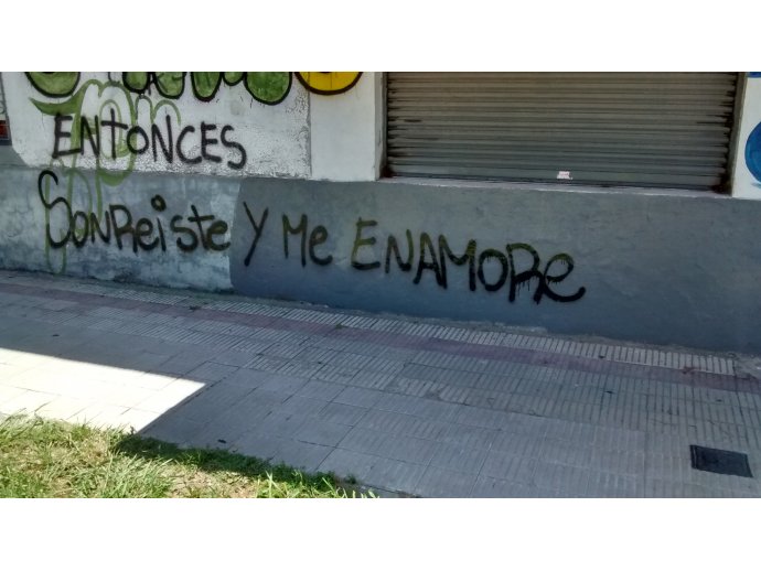 Entonces sonreíste y me enamoré